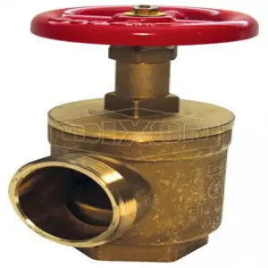 DIXON AV2531 Valve | BX6UZE