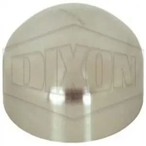 DIXON B16W-R200 End Cap, 2 Inch Dia., 316L Stainless Steel | BX6VAP