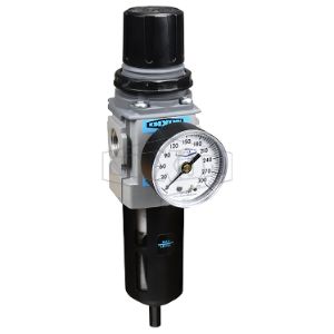 DIXON B18-02AG Compact Filter Regulator, 1/4 Inch Size, Auto Drain, Transparent Bowl And Guard | AN2UYB
