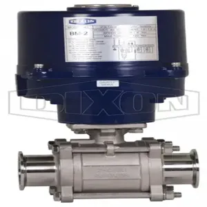 DIXON BV2CV-200CC-EA Ball Valve, 2 Inch Size, 316 Stainless Steel | BX7ACW