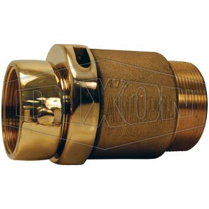 DIXON CSCTM25F30T-P Check Snoot Clapper, 2-1/2 FNH x 3 Inch MNPT, Polished, Brass | BX7CLF