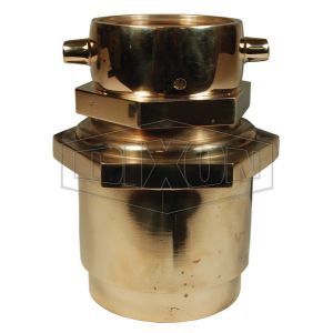 DIXON CSSTF25F30T-P Check Snoot, Spring Type, 2-1/2 Inch FNH x 3 Inch FNPT, Polished Brass | BX7CTX
