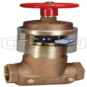 DIXON FAPRVF250 Pressure Reducing Straight Valve, Adjustable, 2-1/2 FNPT Inlet | BX7EQZ