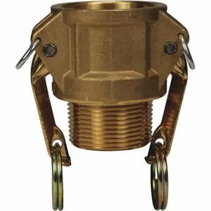 DIXON G250-B-BR Global Female Coupler, 2-1/2 Inch MNPT, With Brass Handles | AM4KGX