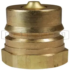 DIXON H6F6-B ISO-B Plug, NPTF Thread, 3/4 Inch Thread, Brass | BX6HYM