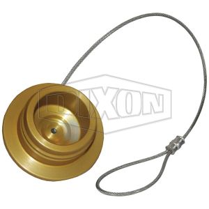 DIXON R-HN-PLUG Hydraulikdüsenstopfen | BX7PQQ