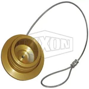 DIXON R-HN-PLUG Hydraulic Nozzle Plug | BX7PQQ