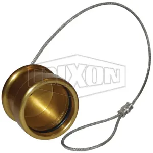 DIXON R-HR-CAP Hydraulic Receiver Cap | BX7PQZ