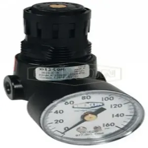 DIXON R03-02RG Regulator | AM2YRJ