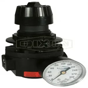 DIXON R26-03RHG Regulator, 3/8 Inch Size | BX7NUD