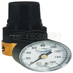 DIXON RB3-01RG Regulator | BX7NZK