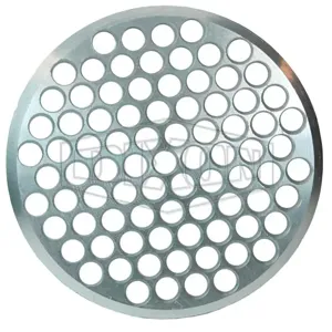 DIXON SDA300 Disk Strainer | BX7TCQ