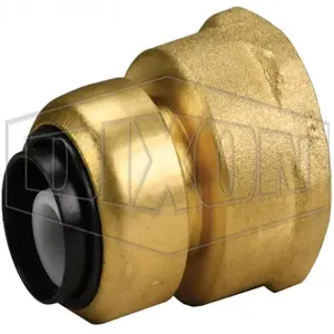 DIXON U068 Female Connector, 1/2 Inch Size, Forged Brass | BX7WRW