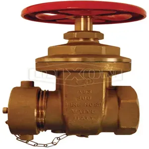 DIXON WDGV251F Forged Gate Valve, Stem Wedge Disc, 2-1/2 FNPT Inlet, 2-1/2 MNST Outlet | BX7XHZ