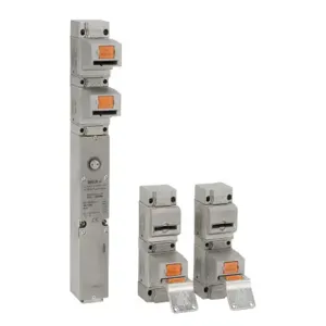 DOLD ZRH-2GATE-SET Solenoid Trapped Key Interlock System, Push-Pull Key, 2 Gate, 316 Stainless Steel | CV7QRJ