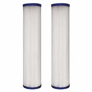 DUPONT WFPFC3002 Quick Connect Filter, 20 Micron, 5 Gpm, 10 Inch Height, 2 Inch Dia, Whole-House, 2 PK | CP3XDJ 25CA71