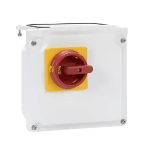 DURAPULSE GS20XA-DSC Enclosed Disconnect Switch, Nema 4X | CV8BTT