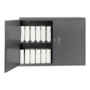 DURHAM MANUFACTURING 060-95-WSS Aerosol Storage Cabinet, Wall Mount, 2 Slotted Shelf, Capacity 88 Can | CF6JCV