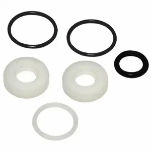 DYNAQUIP CONTROLS 120020.025 Seal Kit | CP4AHE 44F210