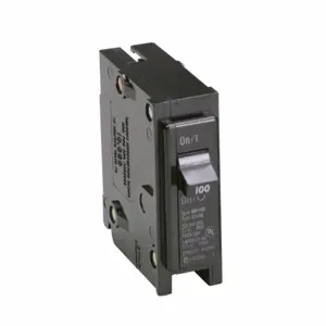 EATON BR1100CS Br Thermal Magnetic Circuit Breaker, Type Plug-On | BJ7RGD