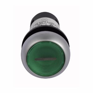 EATON C22-DL-G-X1-K10-24 Drucktaster, beleuchtet, Taste, LED, silberne Blende, bündig, tastend | BJ7VEB 20AX59