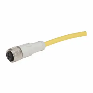 EATON CSAS4A4CY2202 Global Plus Connector Cable, Straight, Pvc Enclosures, 4 Pin, 4 Wire, Straight | BJ2ATC