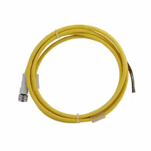 EATON CSAS4F4CY1802 Global Plus Connector Cable, Straight, Pvc Enclosure, 4 Pin, 4 Wire, Straight | BJ2ATL