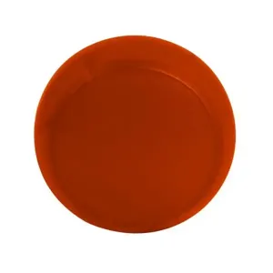 EATON M22-XL-A-ETCH Pushbutton, Button Lens, Flush, Amber, Ip67, Ip69K, Nema 4X, 21, Custom | BH4VKE