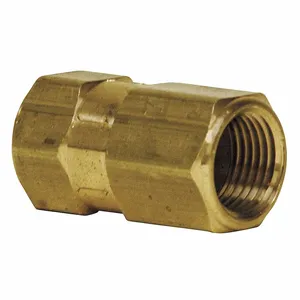 ECONOLINE 411132 Check Valve, Check Valve | CP4CEZ 24JL44