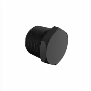 ELDON JAMES P16BN Threaded Plug, 1 NPT Size, Black Nylon | CJ8JDR