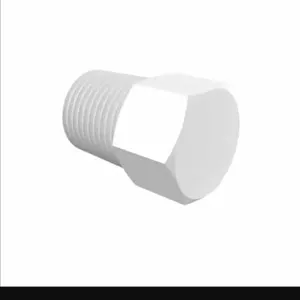 ELDON JAMES P2BWN White Nylon Threaded Plug, 1/8 BSPT Size | CJ8JEK