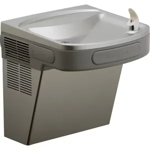 ELKAY EZSDLF Single Drinking Fountain, 19 13/16 Inch Height | CJ3JGB 34J989