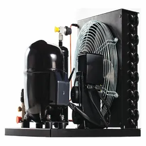 EMBRACO UNEU6214Z1 Condensing Unit, 1/2 hp | CH6RVT 55MF53