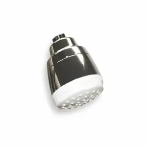 ENCORE SS20-2000 Showerhead, Encore, Sanishower, Saniguard, 2 Gpm Fixed Showerhead Flow Rate, Chrome Finish | CP4GQU 2YDW1