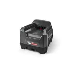 ENERPAC ZC115VC Charger, 115VAC, 82VDC | CM9MTE