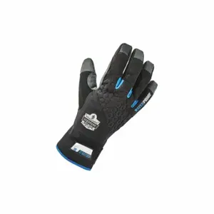 ERGODYNE 817WP Utlty Glove, Thrml Wtrprf, Blk, XL, PR, 1 PR | CT8AEY 322F16