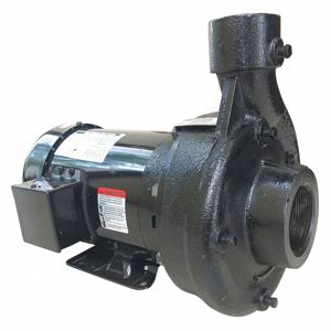 FABORY 55JJ37 Centrifugal Pump, 2 HP, 2-1/2 NPT Inlet, 2 NPT Outlet, 3 Phase | CH6TCD