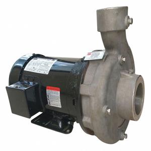 FABORY 55JJ38 Centrifugal Pump, 2 HP, 2-1/2 NPT Inlet, 2 NPT Outlet, 3 Phase | CH6TCE