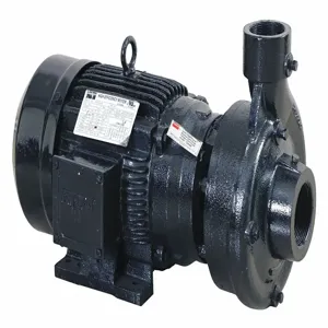 FABORY 55JJ51 Centrifugal Pump, 5 HP, 2-1/2 NPT Inlet, 2 NPT Outlet, 3 Phase | CH6TCQ