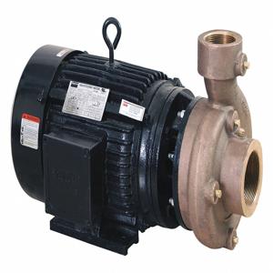 FABORY 55JJ53 Centrifugal Pump, 5 HP, 2-1/2 NPT Inlet, 2 NPT Outlet, 3 Phase | CH6TCR