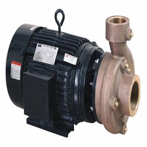 FABORY 55JJ60 Centrifugal Pump, 10 HP, 3 NPT Inlet, 2-1/2 NPT Outlet, 3 Phase | CH6TBZ