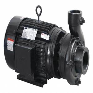 FABORY 55JJ61 Centrifugal Pump, 15 HP, 3 NPT Inlet, 2-1/2 NPT Outlet, 3 Phase | CH6TCA