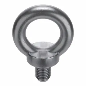 FABORY L16000.240.0001 Eye Bolt, 1,800 Kg Working Load, Steel, M24X3 Thread Size, 15PK | CG7XJN 176D04