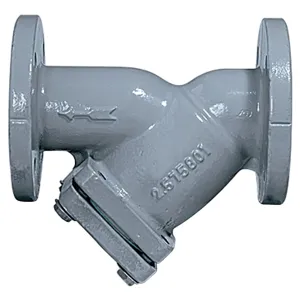 FEBCO 758A 2 1/2 Wye Strainer, 2 1/2 Inch Size, Cast Iron | CC3TYN 4325