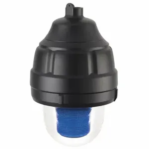 FEDERAL SIGNAL 24XST-024B-MOD Explosion-Proof Strobe Light, Blue, Strobe Tube, 24VDC, 30 Candela, Dome, 0.63A Dc | CP4YFE 447D44