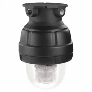 FEDERAL SIGNAL 27XST-024C-4-MOD Explosion-Proof Strobe Light, Clear, Strobe Tube, 24VDC, 2000000 Candela, Fresnel | CP4YFF 447D51