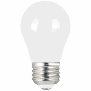 FEIT ELECTRIC LED BPA1540930CAFIL/2 Licht, A15, mittlere Schraube, 40 W INC, 5 W Watt, 450 lm, LED, 2 PK | CP4ZGU 793RA3