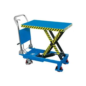 FERVI 0075 Lift Trolley, 300 kg Capacity, 850 x 500 x 50 mm Dimension | CF3RTX