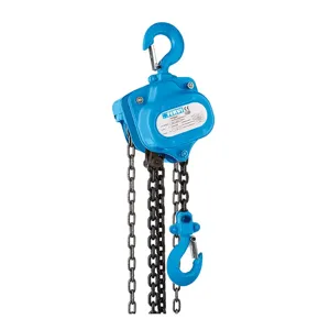 FERVI 0056/1 Chain Hoist, 1000 kg Capacity, 3000 mm Lifting Height | CF3RUE