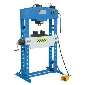 FERVI P001/75 Hydraulic Shop Press, 0.75 - 0.85 Mpa Pressure Range | CF3RQN